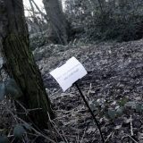 The Woods, Breathing
