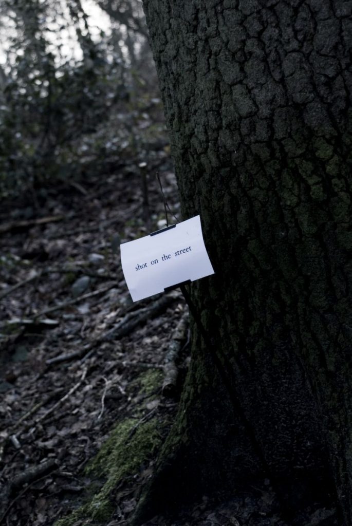 The Woods, Breathing