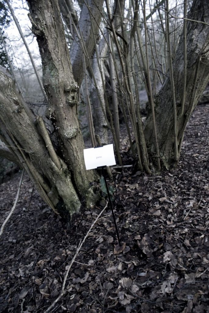 The Woods, Breathing