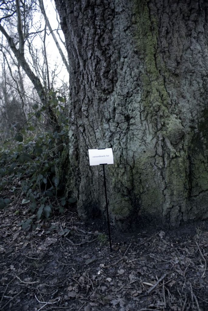 The Woods, Breathing