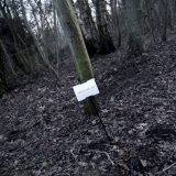 The Woods, Breathing