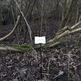 The Woods, Breathing