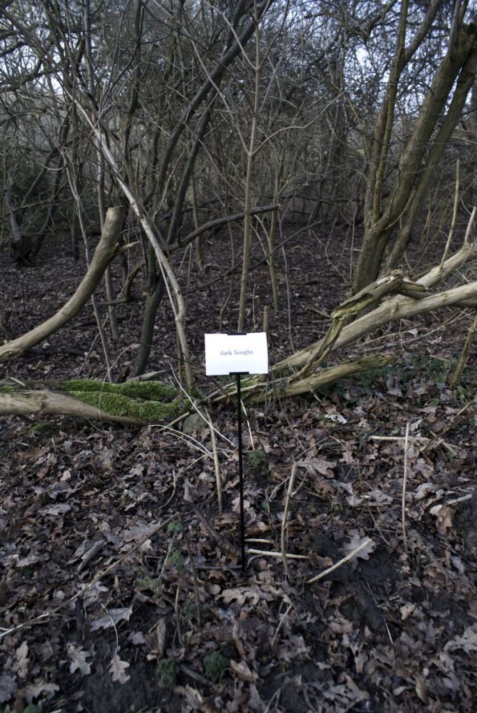 The Woods, Breathing