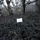 The Woods, Breathing