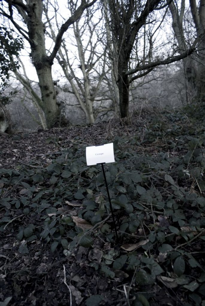 The Woods, Breathing