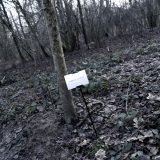 The Woods, Breathing