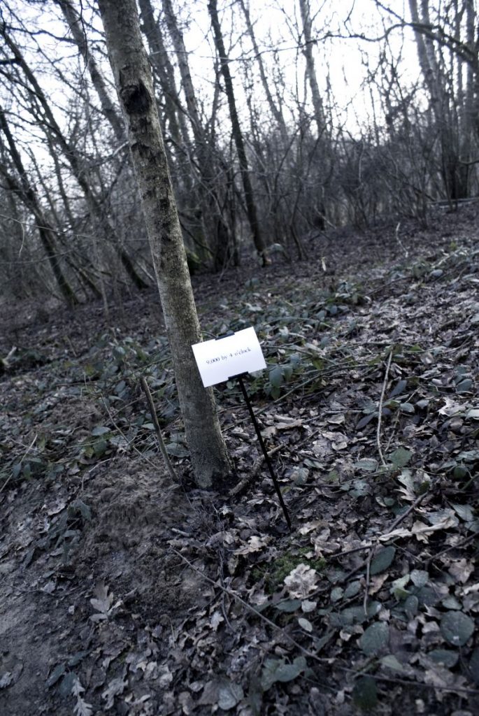 The Woods, Breathing