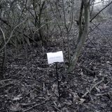 The Woods, Breathing