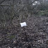 The Woods, Breathing