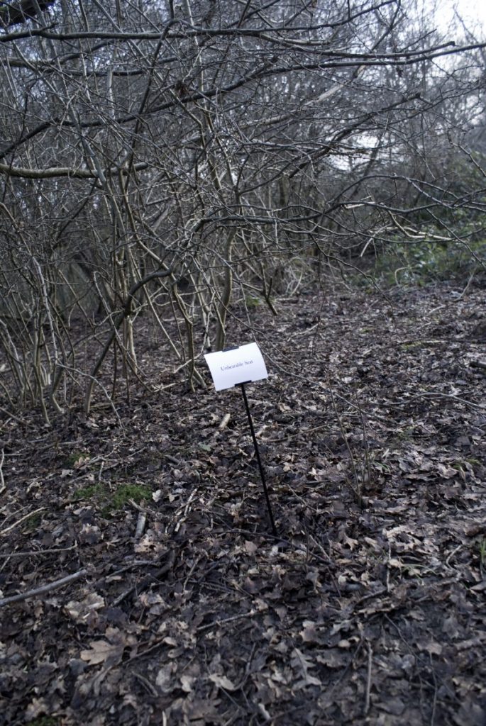 The Woods, Breathing