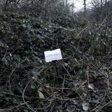 The Woods, Breathing