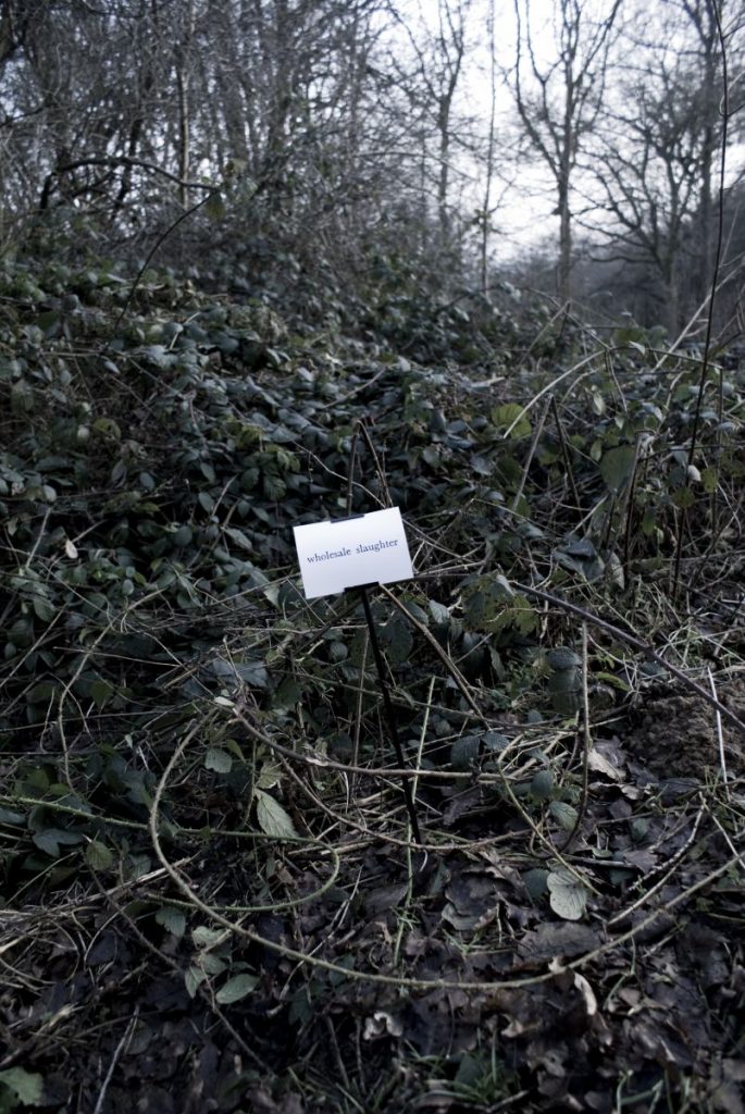 The Woods, Breathing