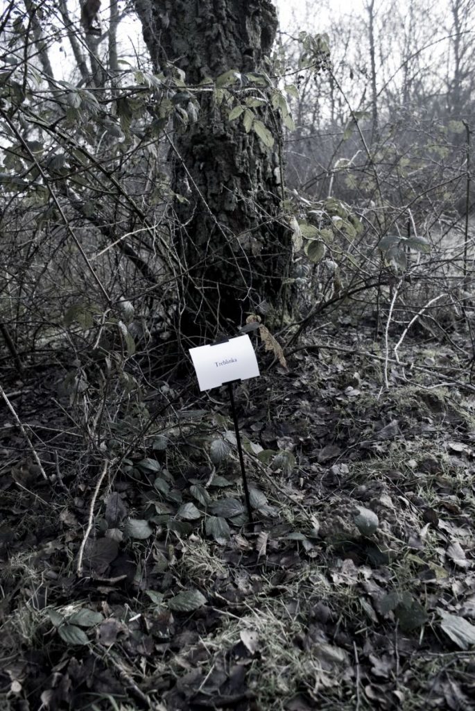 The Woods, Breathing