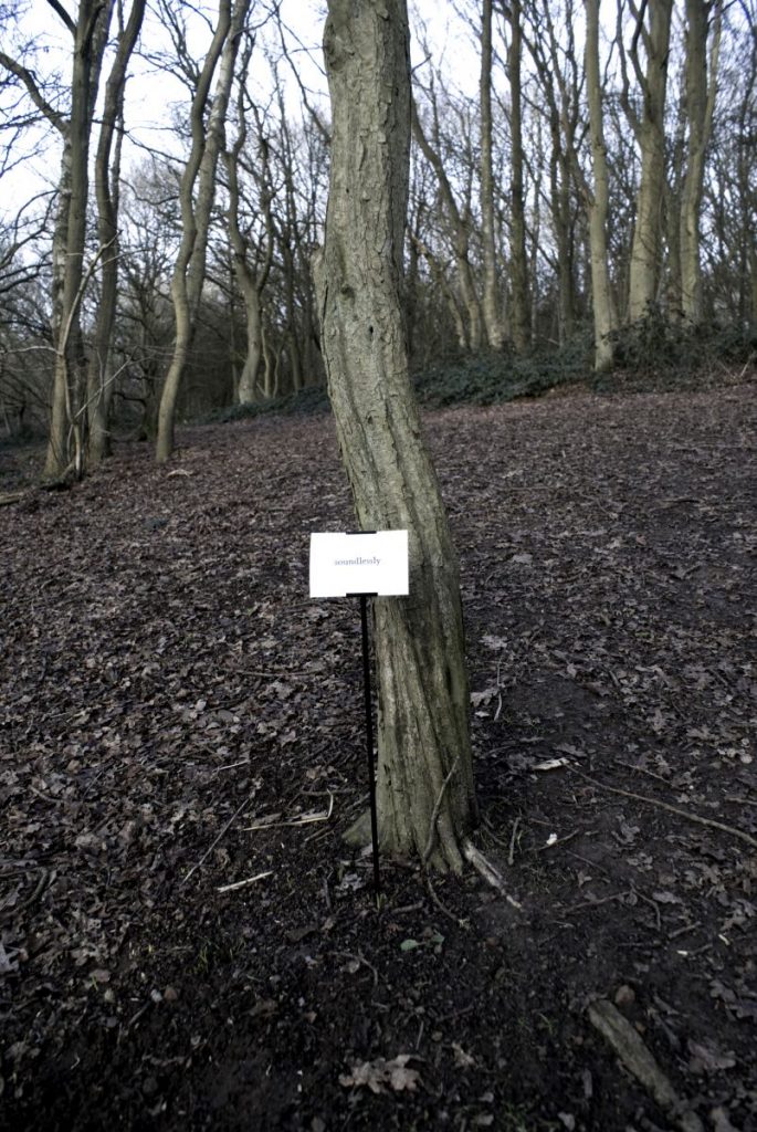 The Woods, Breathing