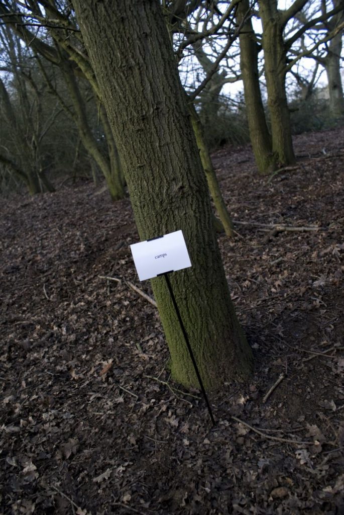 The Woods, Breathing