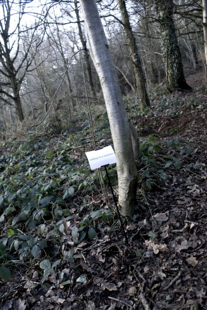 The Woods, Breathing