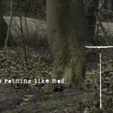 Correspondence I (detail)