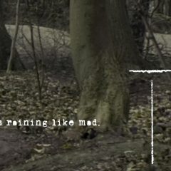 Correspondence I (detail)