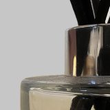 Goethean Observation: Diffuser