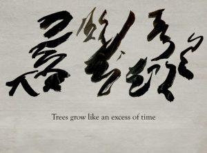 Trees Grow Like An Excess Of Time