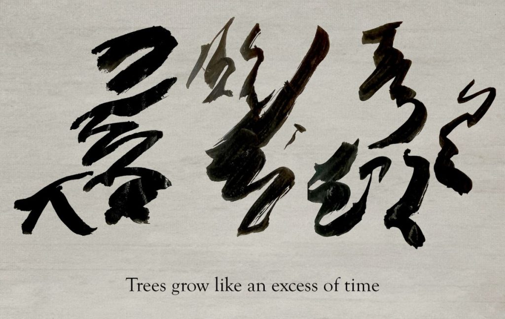 Trees Grow Like An Excess Of Time