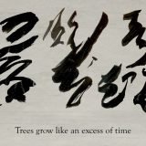 Trees Grow Like An Excess Of Time