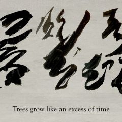 Trees Grow Like An Excess Of Time