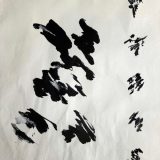 About The Woods One Morning - May 12th 2024