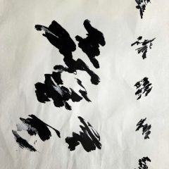 About The Woods One Morning - May 12th 2024