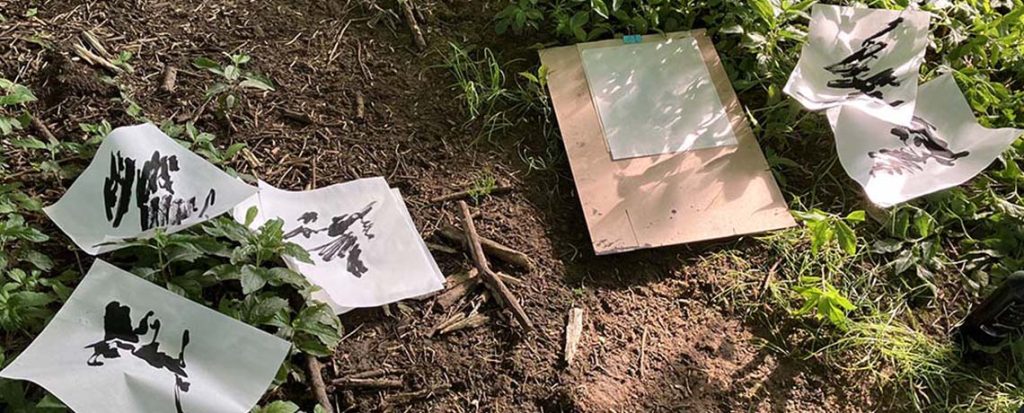 A Calligraphy of Shadows