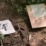 A Calligraphy of Shadows