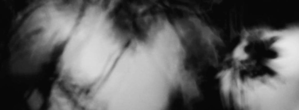 The Leaf Is Singing Still