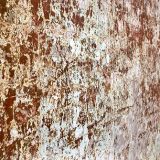 Flaking Wall