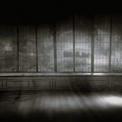 And Sings Him Forward Into The Storm