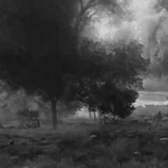 The Living Know This Only In Gentle Leaf