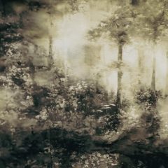 Not Only All The Summer's Dawns