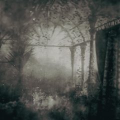 The Interval Between The World And Our Toys