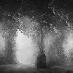 She Shows Him The Towering Trees of Tears