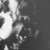 Shadow Calligraphy 37