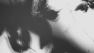 Shadow Calligraphy 38