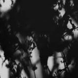 Shadow Calligraphy 39