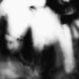 Shadow Calligraphy 4