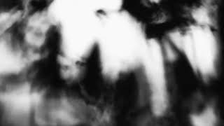 Shadow Calligraphy 4