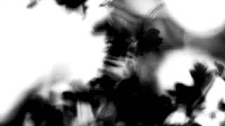 Shadow Calligraphy 40