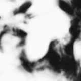 Shadow Calligraphy 41