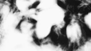 Shadow Calligraphy 41