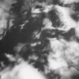 Shadow Calligraphy 42