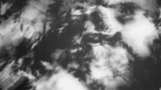 Shadow Calligraphy 42