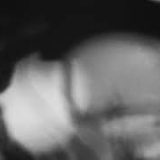 Shadow Calligraphy 44