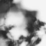 Shadow Calligraphy 45